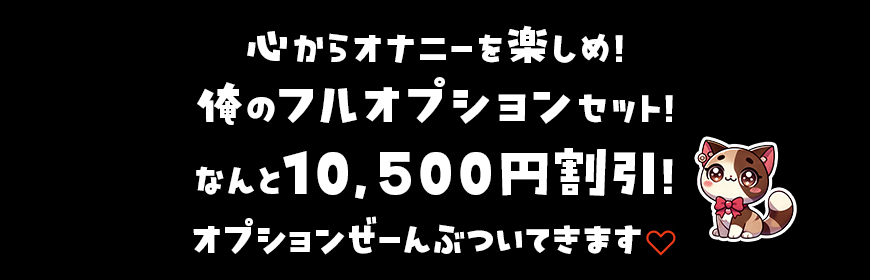 フルオプションで大幅値下げ！
