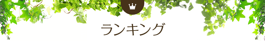 ランキング