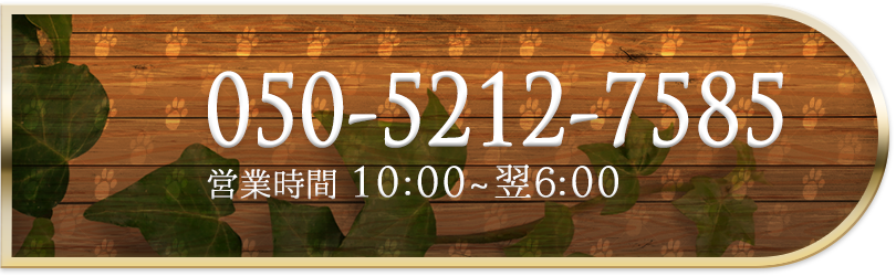 キティーズテラス 西船橋店 電話番号：050-5212-7585 営業時間：10:00～翌6:00